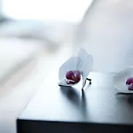 Hotel Newberlin 3*